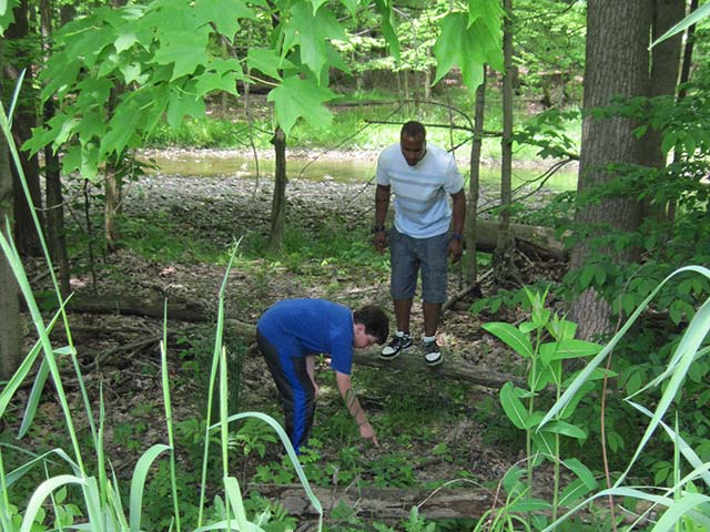 Hiram House campers examining plants