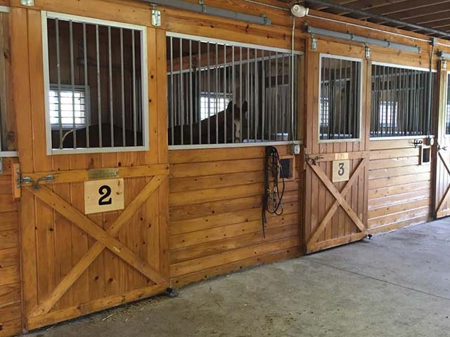 Horse stables at Hiram House Camp used for horseback riding lessons